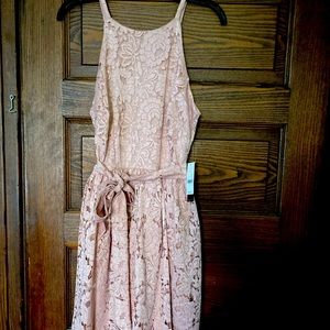 Eva Mendes Blush Pink Lace Summer Dress